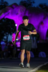 BIB: 
                            <button type="button" onclick="openModal(26529837)" class="btn btn-primary btn-sm float-right btn-popup" data-toggle="modal" data-target=".modal-high-quality">
                        <i class="fas fa-shopping-cart"></i> Add to Cart
                    </button>
                                            <button type="button" onclick="isThisMe(26529837, true)" class="btn btn-success btn-sm float-right btn-popup btn-isme hidden" data-toggle="tooltip" data-placement="bottom" title="นี่คือรูปของคุณใช่ไหม คลิกที่นี่เพื่อเอาเข้าอัลบั้ม">
                        <i class="fas fa-plus"></i> Add to album
                    </button>
                    <button type="button" onclick="isThisMe(26529837, false)" class="btn btn-warning btn-sm float-right btn-popup btn-isnotme hidden">
                        <i class="fas fa-ban"></i> Remove from album
                    </button>